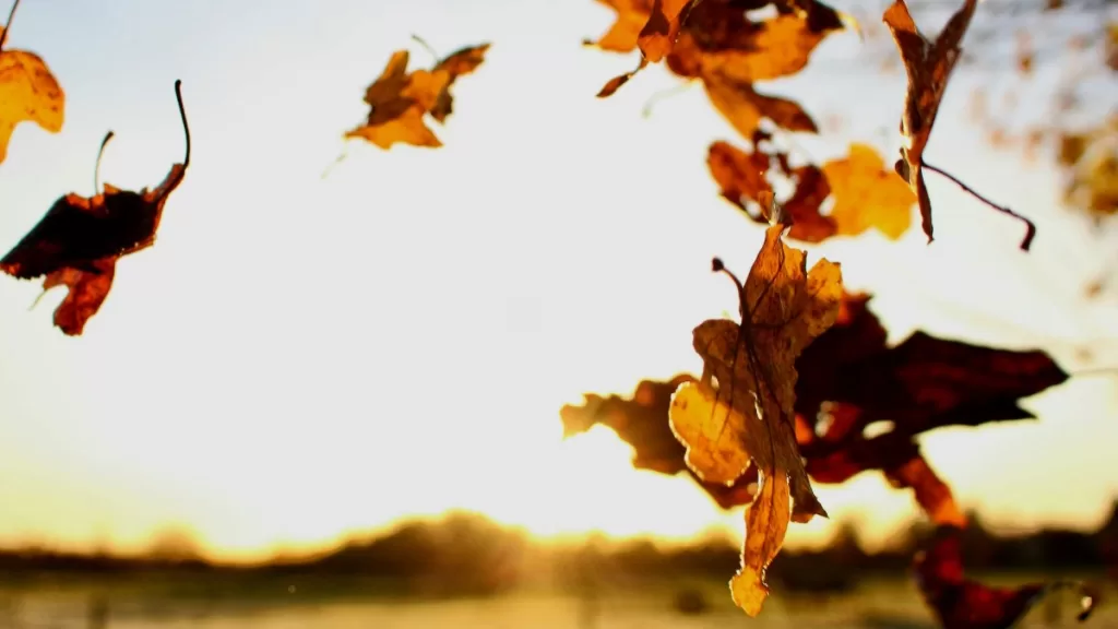 Diario di una maratona #17 - La caduta degli stronzi