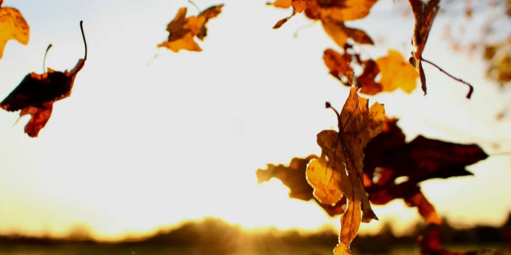 Diario di una maratona #17 - La caduta degli stronzi