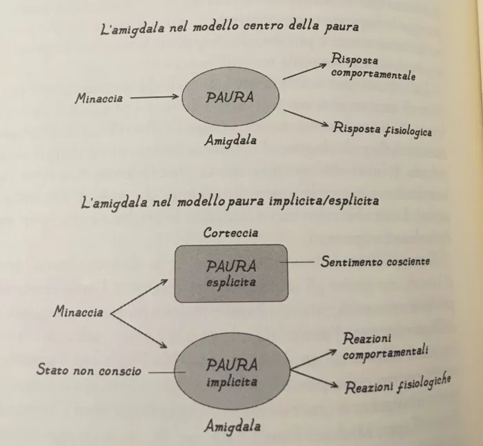 Lunga storia di noi stessi