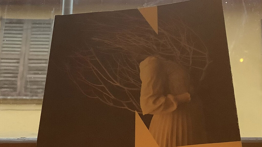 Sotto-la-falce.-Un-memoir---Jesmyn-Ward