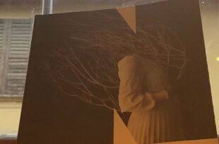 Sotto-la-falce.-Un-memoir---Jesmyn-Ward