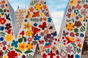 Quante autrici abbiamo letto nel 2021_