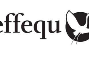 casa editrice effequ