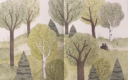 Orso e i sussurri del vento