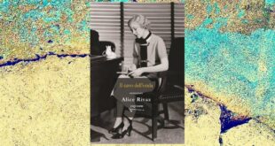il cavo dell'onda alice rivaz