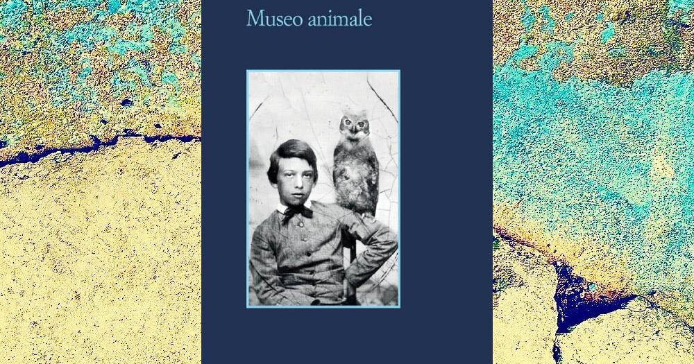 museo animale cover - fonseca