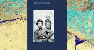 museo animale cover - fonseca